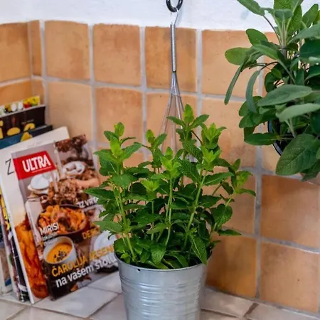 Сasa de vacaciones Seoska Kuca - Family Holiday Villa, Čilipi